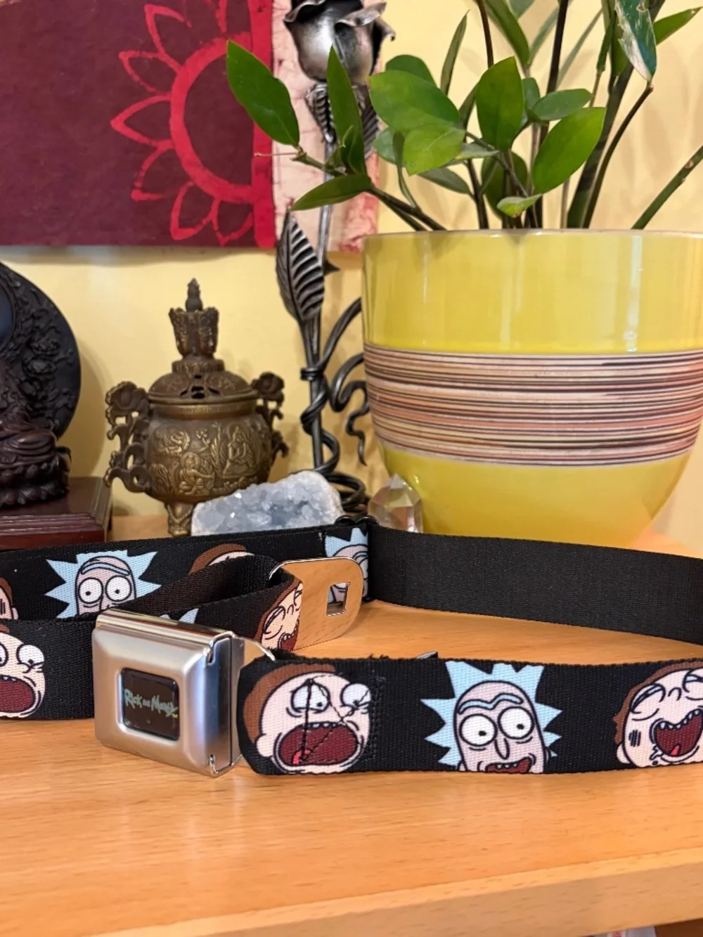 Buckle Down Rick and Morty Seatbelt Belt Size Regular Fits 24-38